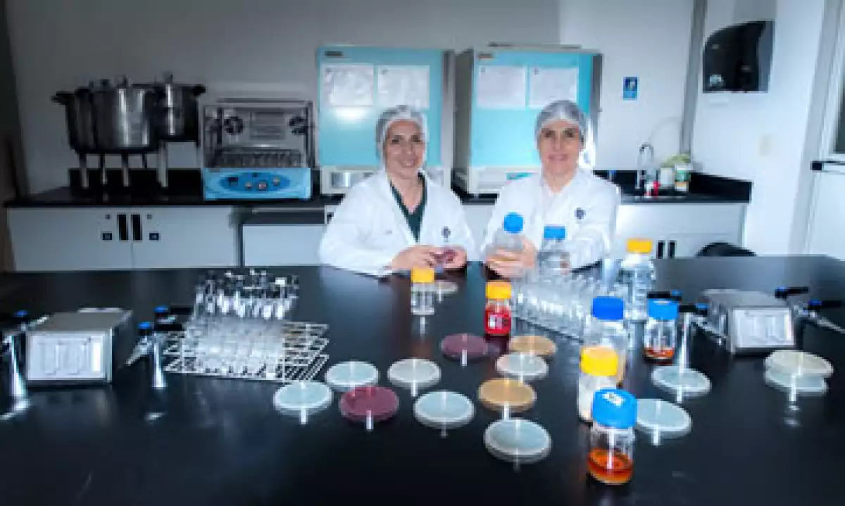 Probi�ticos ITESO