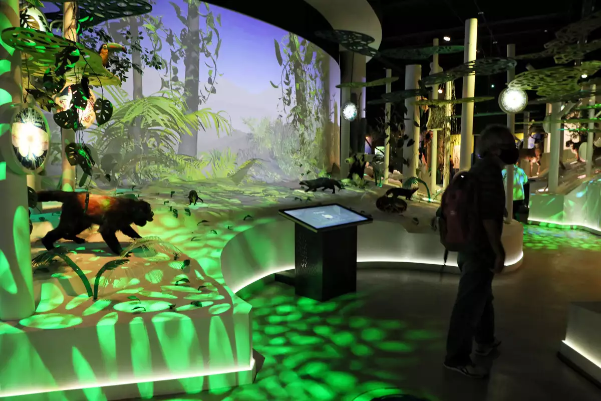 Interior del Pabellón Nacional de la Biodiversidad, en Ciudad Universitaria.