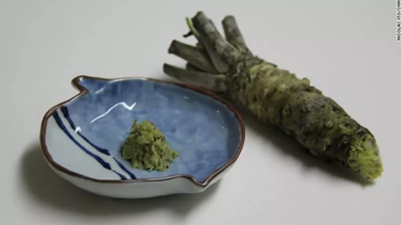 wasabi sushi comida japonesa