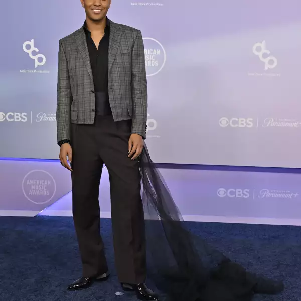 52nd American Music Awards - Arrivals