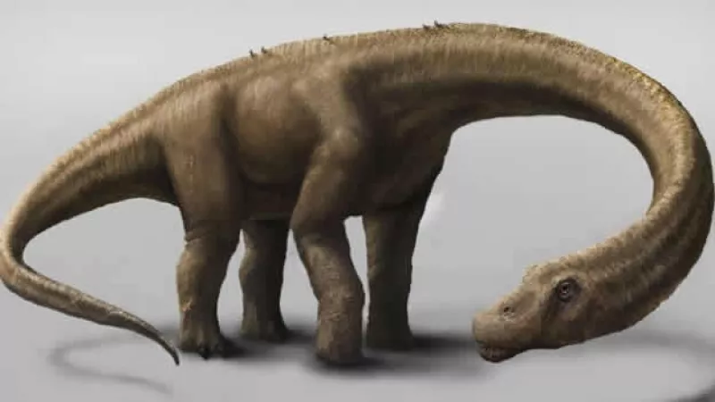 Dreadnoughtus dinosaurio argentina
