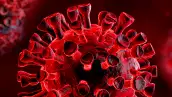 arte_coronavirus.jpg