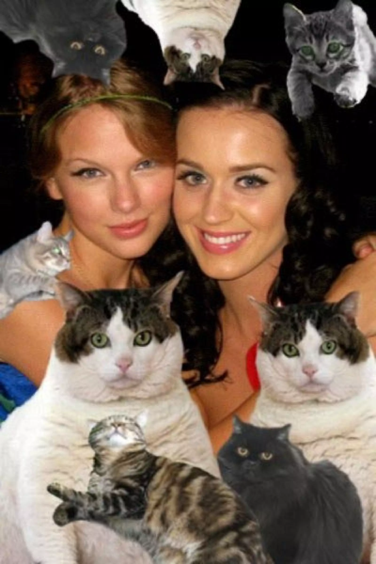 Taylor Swift subió esta foto y escribió: “Salir con @ katyperry es súper divertido, a excepción de la manada de gatos domésticos que la siguen.”
