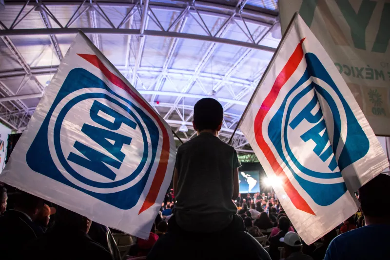 Partido Acción Nacional