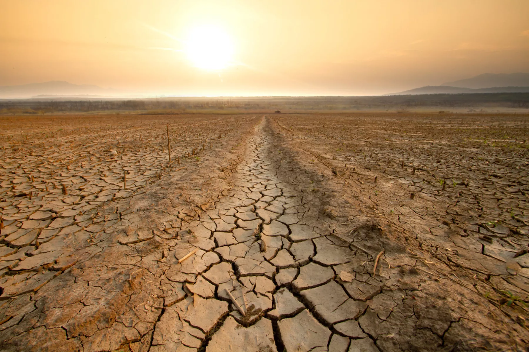 ¿Qué está pasando con el fenómeno de El Niño y La Niña este 2024?