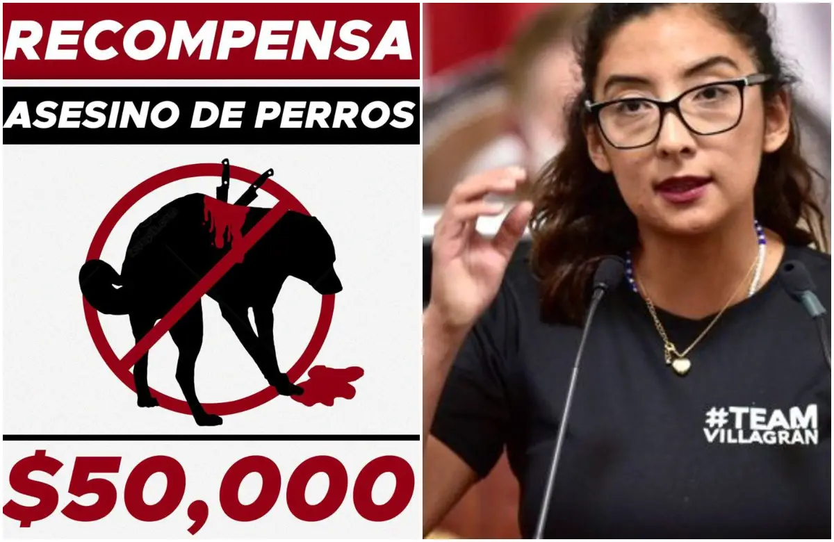 diputada recompensas.jpg