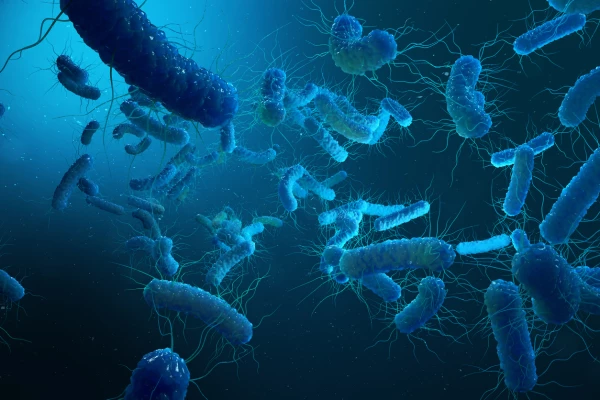 E. Coli