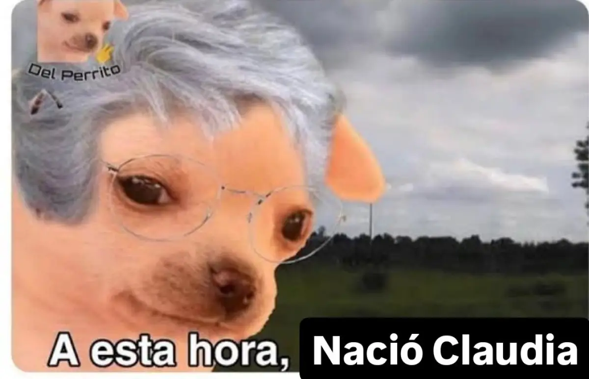 GY0Ju34X0AIsHhB.jfif