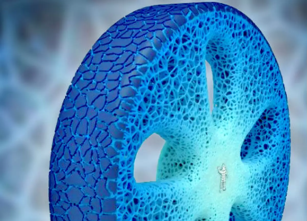 Michelin nueva llanta Vision