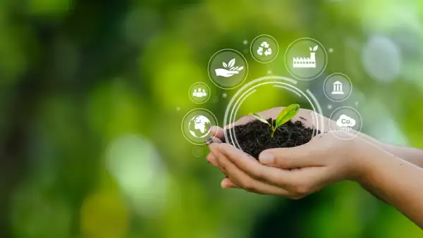 BMV y sustentabilidad