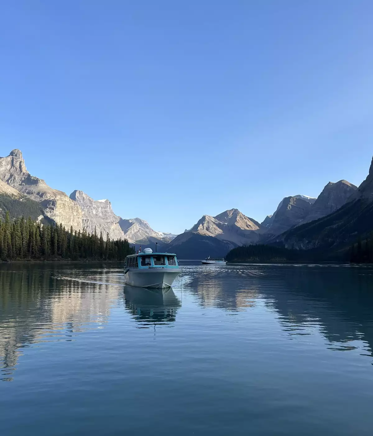 Foto de los bosques de Jasper, en Alberta, Canadá.