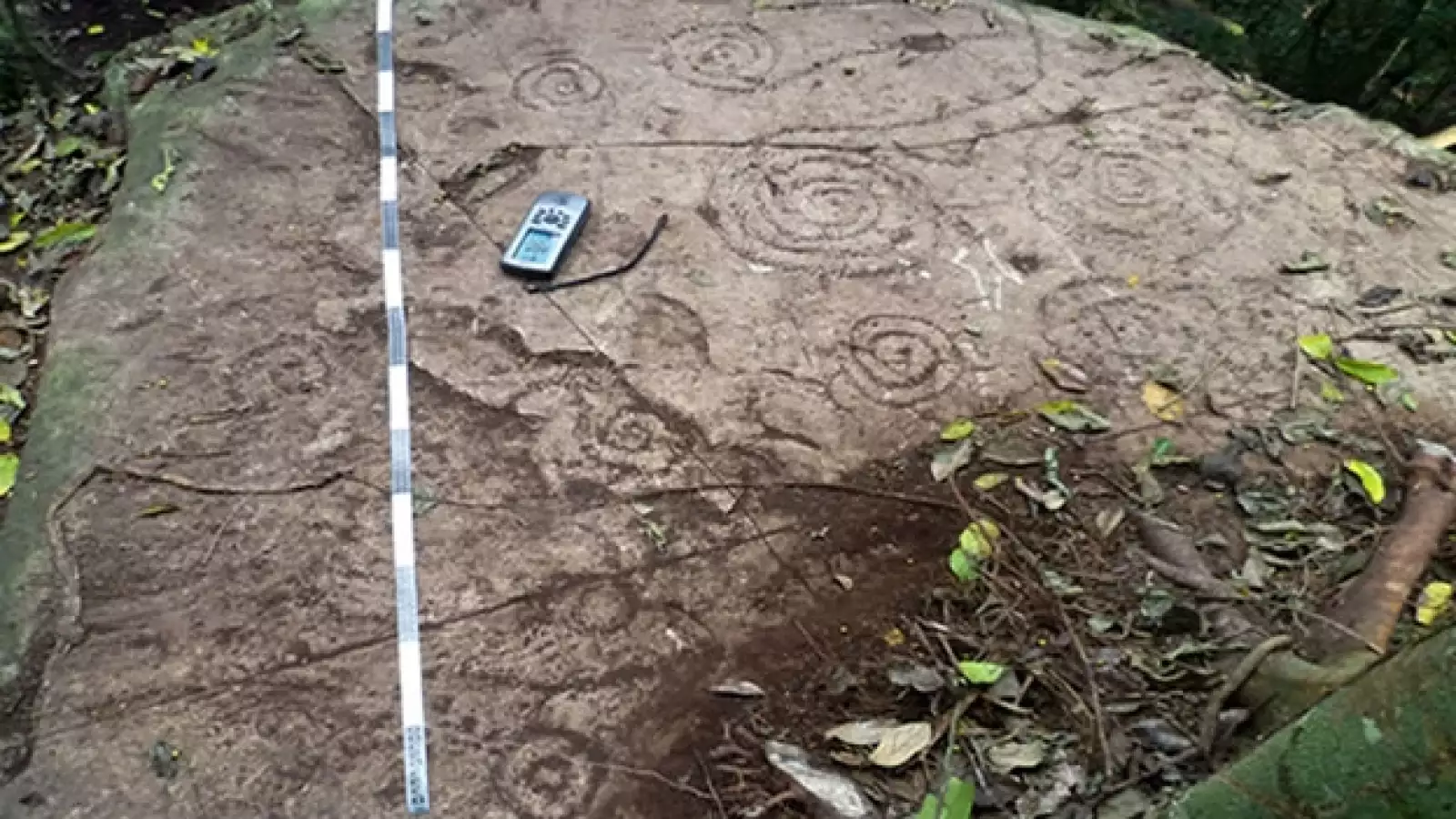 petrograbados-veracruz