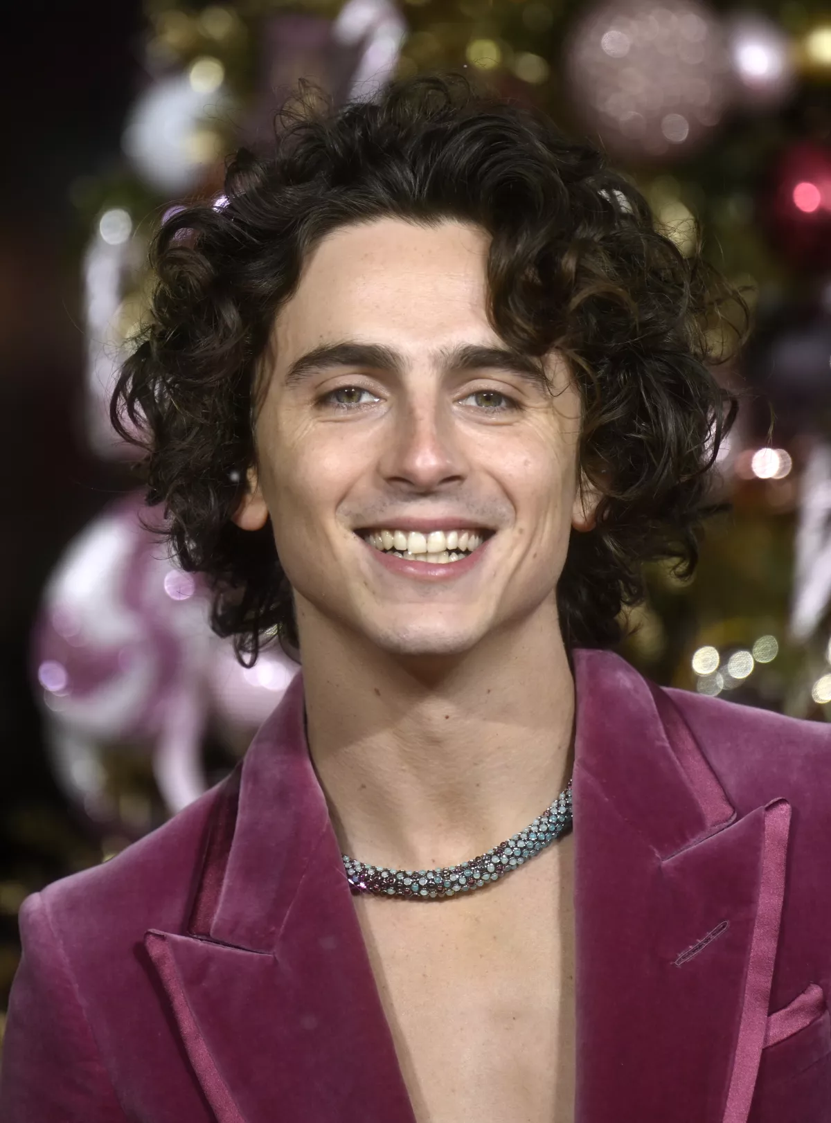 Timothée Chalamet colaboró con Cartier para hacer alta joyería inspirada en Wonka