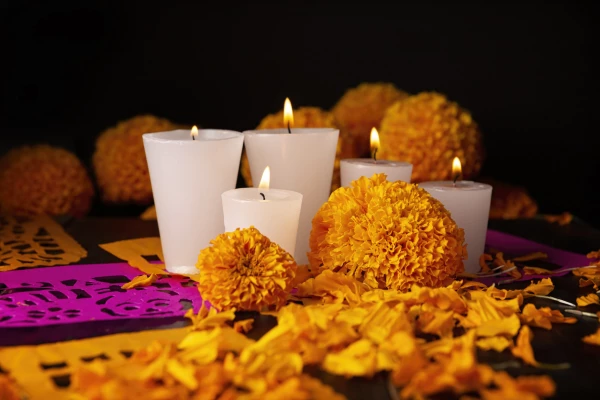 Flor de Cempasúchil