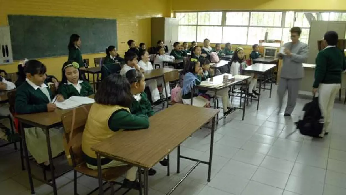 primaria