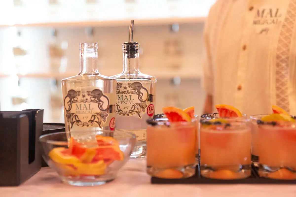QUIEN 50 MAL MEZCAL-13 (1).jpg