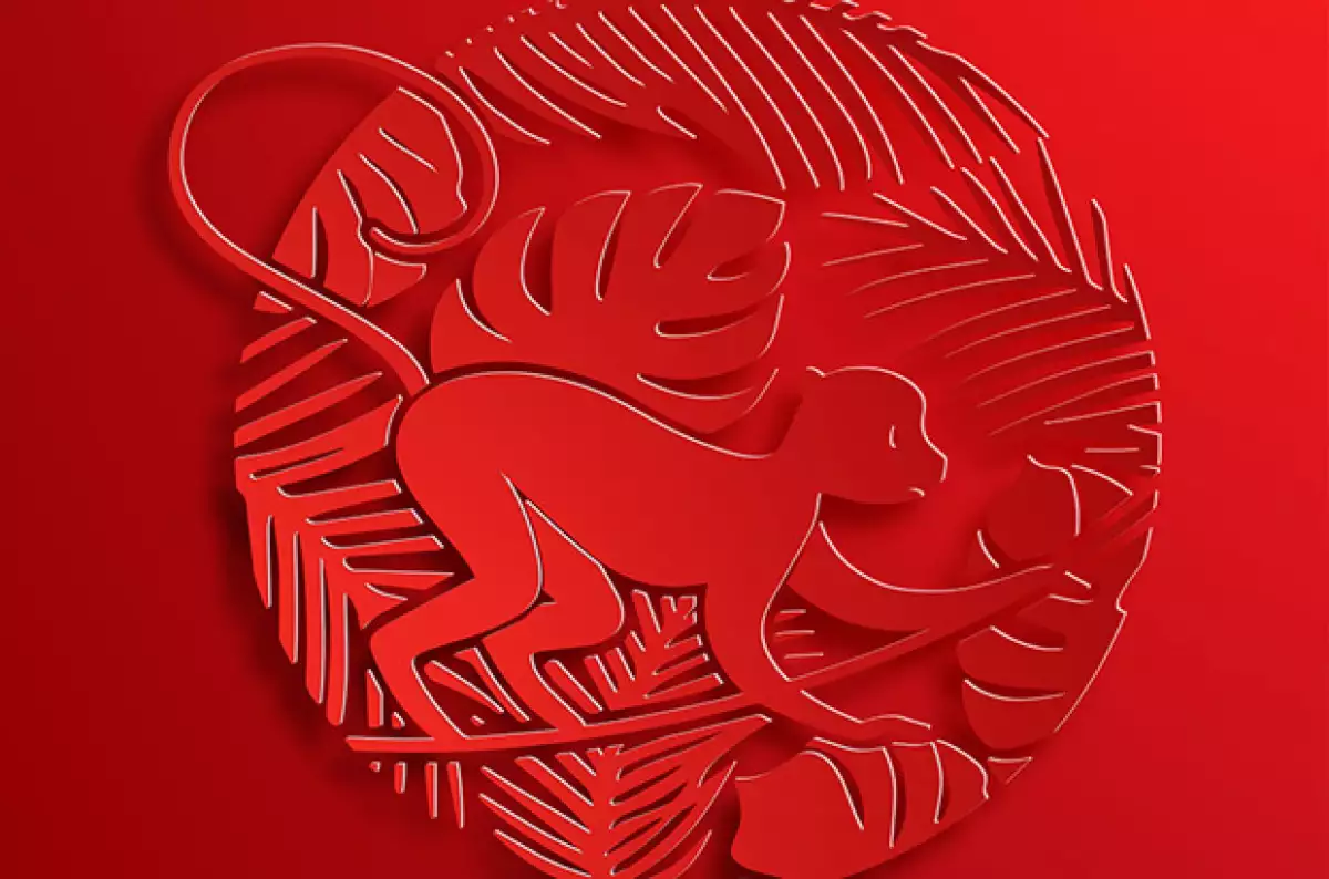 Es el año para realizar nuevos proyectos ya que la influencia del mono entregará el éxito.