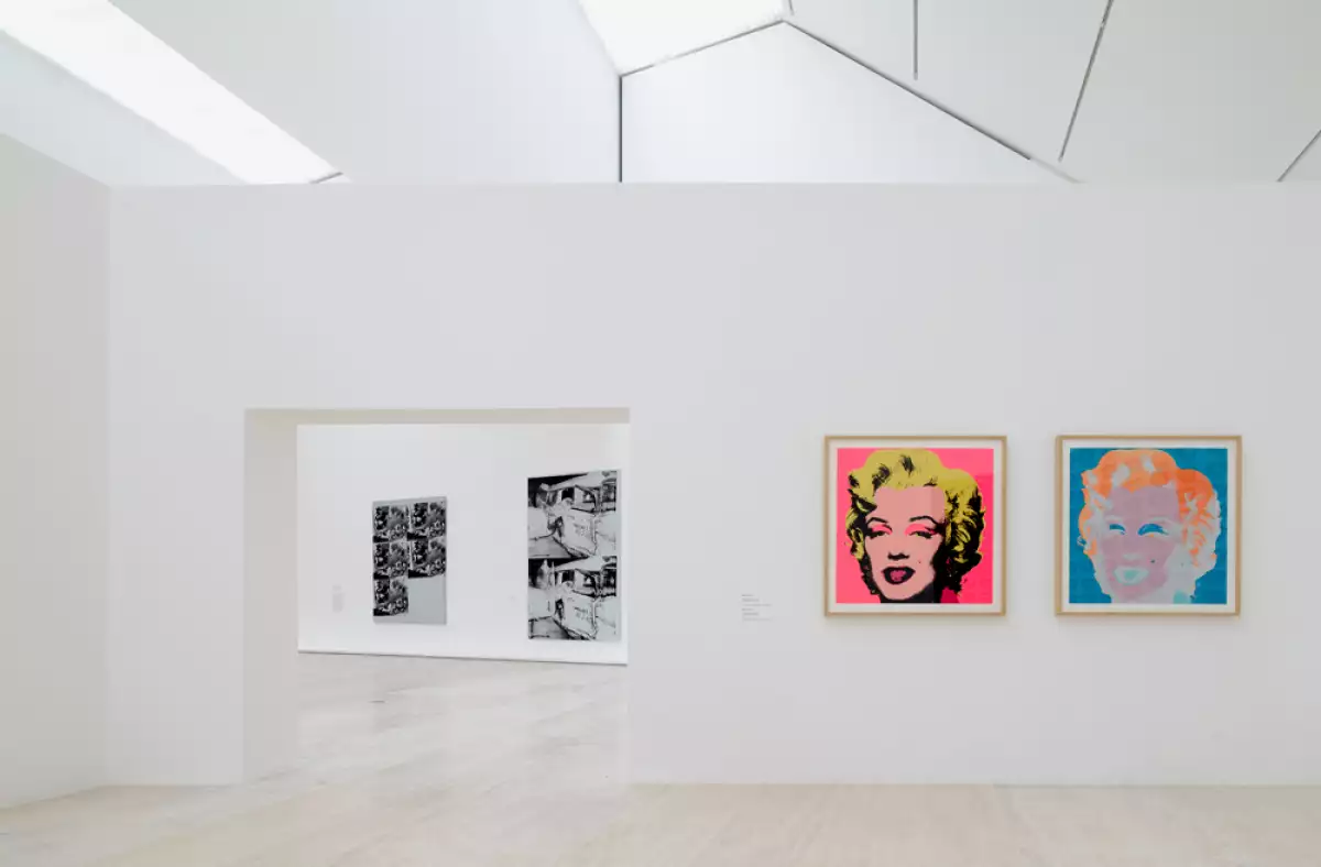 Andy Warhol. Estrella Oscura