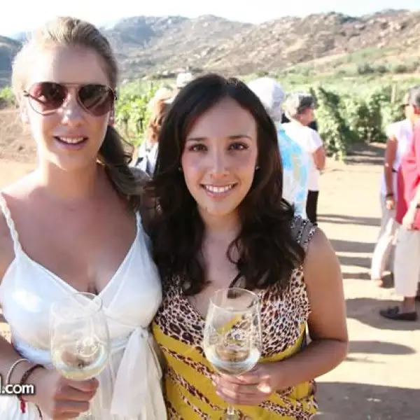 Vendimia Monte Xanic