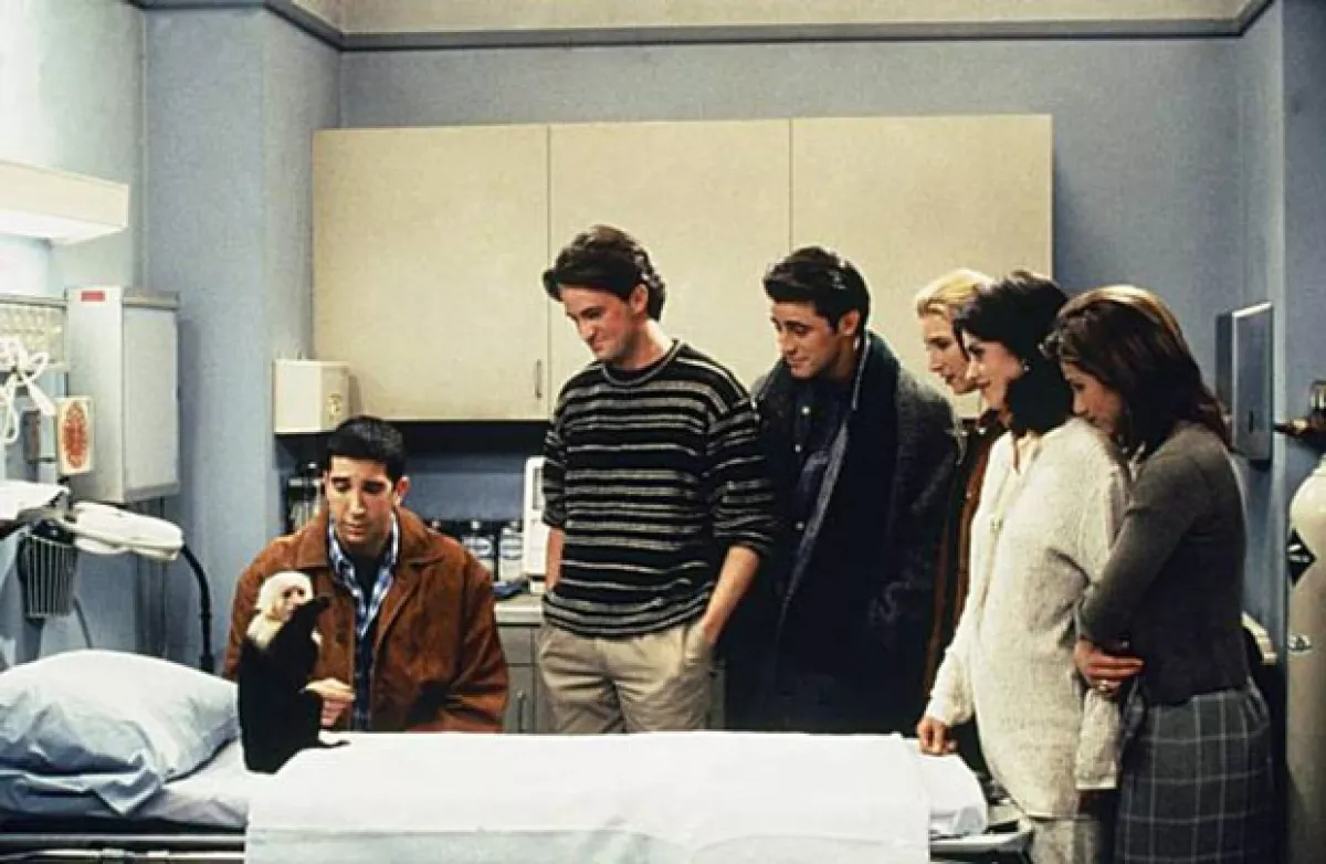 Tras su primer aparición en Friends, Marcel se convirtió en uno de los preferidos de la serie.