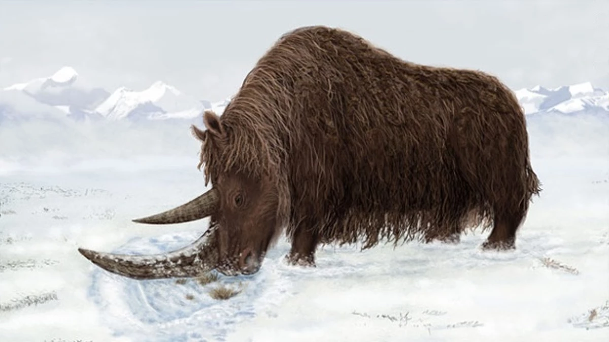 ice age