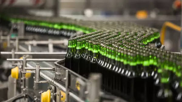 Planta Cerveza