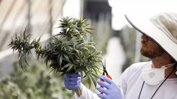 Hacia la especialización