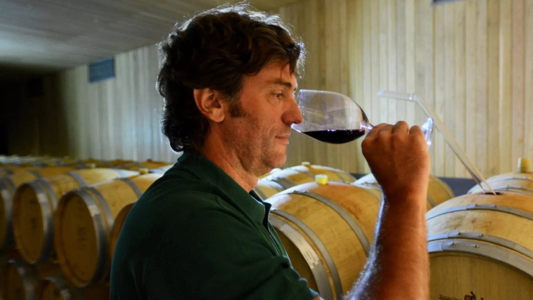 produccion-vino-cae