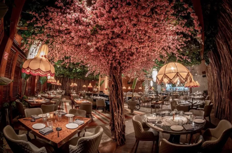 Azia Guadalajara: el lugar perfecto para una cena japonesa 
