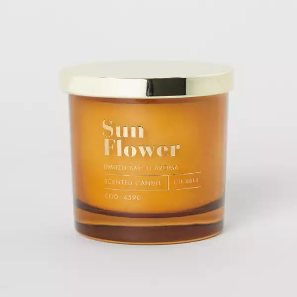 hmgoepprod (25).jpeg