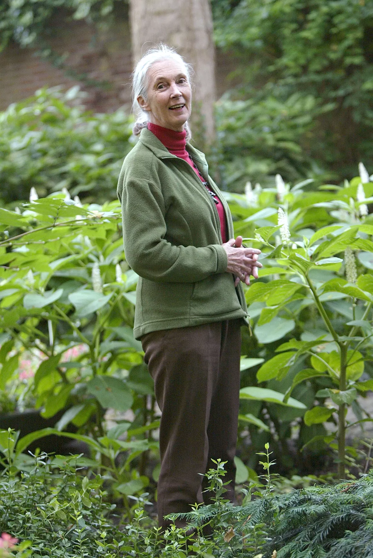 jane-goodall-duques-sussex