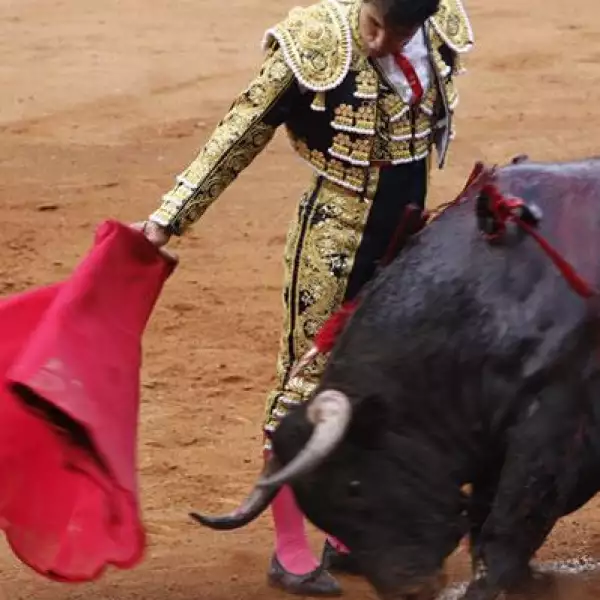 19 corrida de Toros