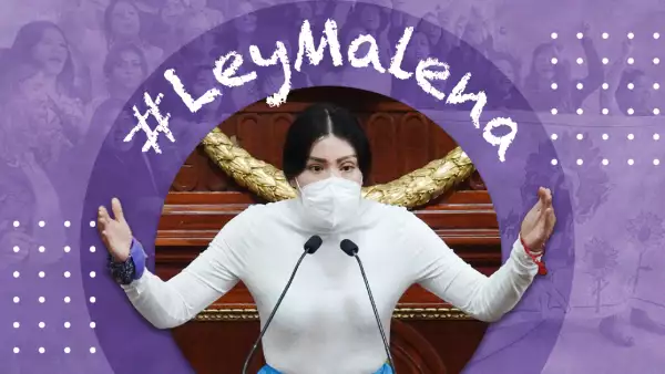ley_malena_ataques_acido.jpg