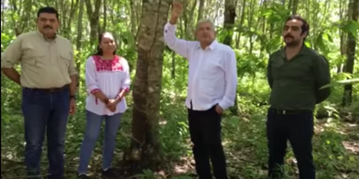 El equipo de rescate al campo: el senador electo Javier May, la futura secretaria María Luis Albores López Obrador y el futuro funcionario Hugo Chávez.
