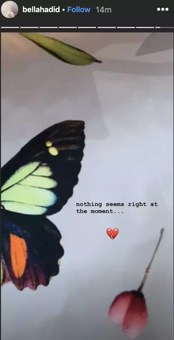 Instastories Bella Hadidi