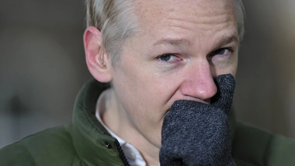 Assange - prensa