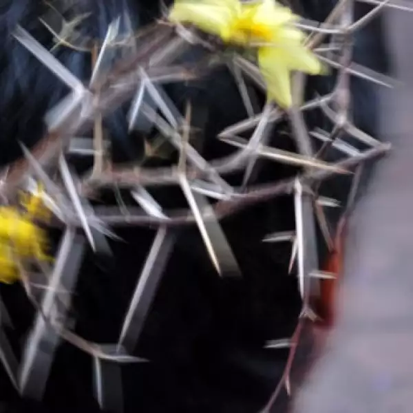 Corona de espinas y flores