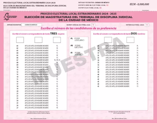 disciplina judicial.jpg