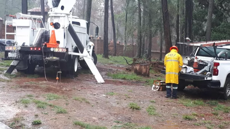 CFE atiende a estados afectados 