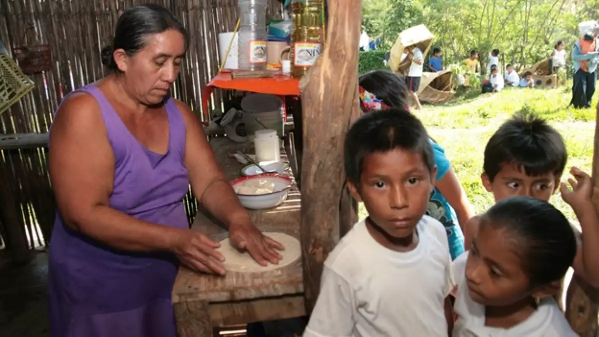indigenas recursos naturales