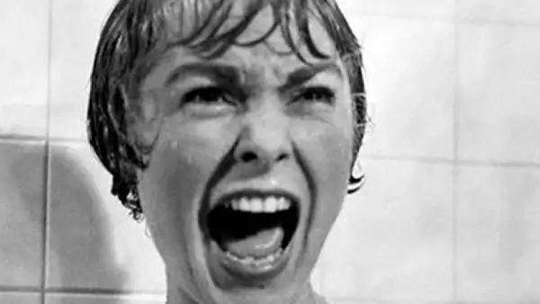 Considerada como un clásico de las películas de terror, Psicosis fue estrenada en 1960. Dirigida por Alfred Hitchcock,  reconocido director y productor británico, fue elogiada como una obra de arte...