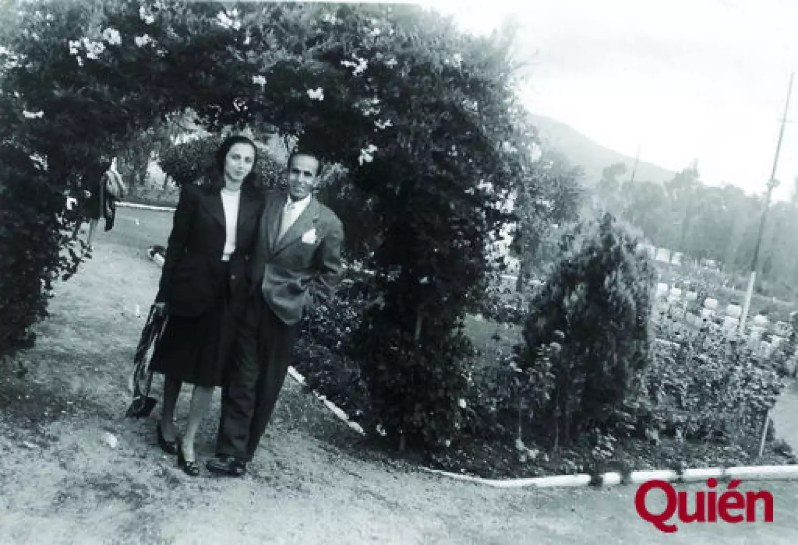 Lily Gemayel, Antonio Domit