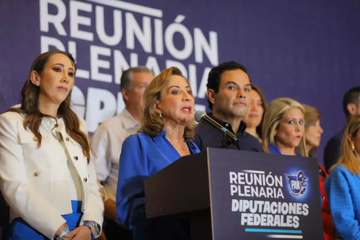 Parliamentary coordinators: the characters who will move "threads" in Congress Coordinators of the PAN