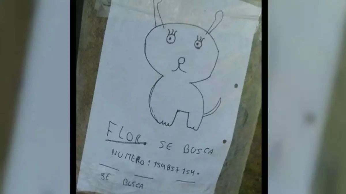 Mascota