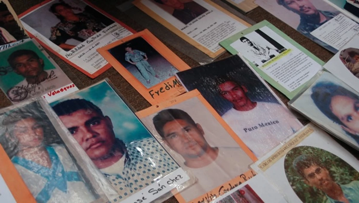 migrantes 2
