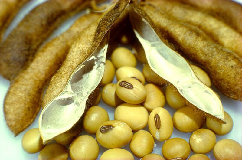 Los rendimientos de productos como la soya han sido impulsados por una menor oferta en el mercado internacional.