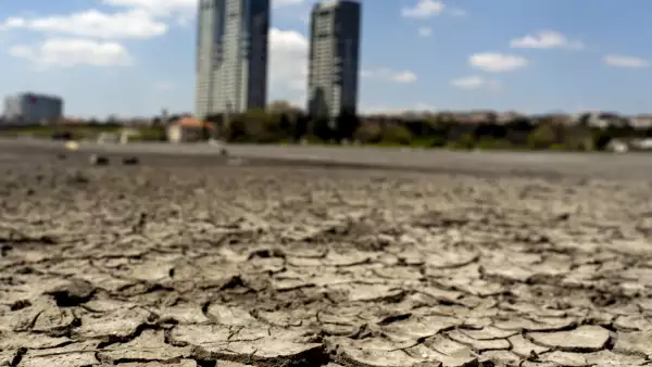 falta de agua vi