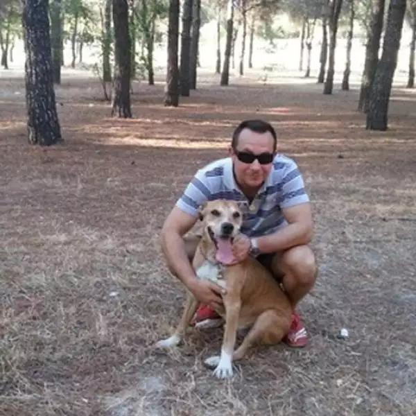 Excálibur perro protestas 6