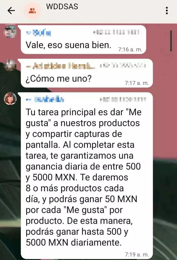 meliestafa.jpeg