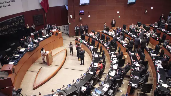 Senado